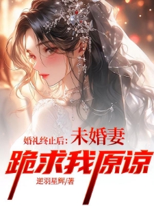 婚礼终止后：未婚妻跪求我原谅